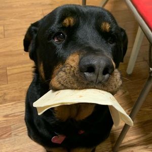 Meet your Posher, Lina